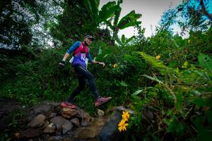 BIB: , 103
                            <button type="button" onclick="openModal(15974587)" class="btn btn-primary btn-sm float-right btn-popup" data-toggle="modal" data-target=".modal-high-quality">
                        <i class="fas fa-shopping-cart"></i> Add to Cart
                    </button>
                                            <button type="button" onclick="isThisMe(15974587, true)" class="btn btn-success btn-sm float-right btn-popup btn-isme hidden" data-toggle="tooltip" data-placement="bottom" title="นี่คือรูปของคุณใช่ไหม คลิกที่นี่เพื่อเอาเข้าอัลบั้ม">
                        <i class="fas fa-plus"></i> Add to album
                    </button>
                    <button type="button" onclick="isThisMe(15974587, false)" class="btn btn-warning btn-sm float-right btn-popup btn-isnotme hidden">
                        <i class="fas fa-ban"></i> Remove from album
                    </button>